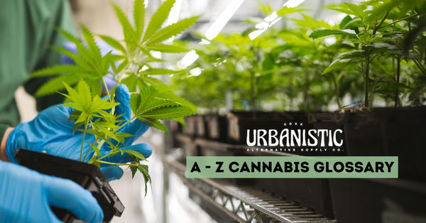A - Z Cannabis Glossary - Urbanistic Canada
