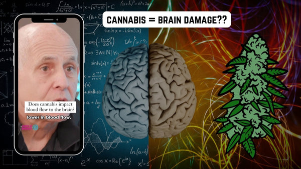 Debunking the Cannabis-Brain Damage Myth: A Closer Look at the Research - Urbanistic Canada