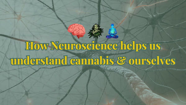 How Neuroscience helps us understand cannabis & ourselves - Urbanistic Canada