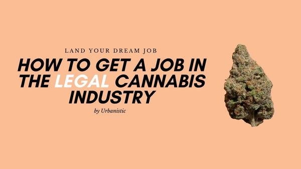 How to get a job in the cannabis industry - Urbanistic Canada
