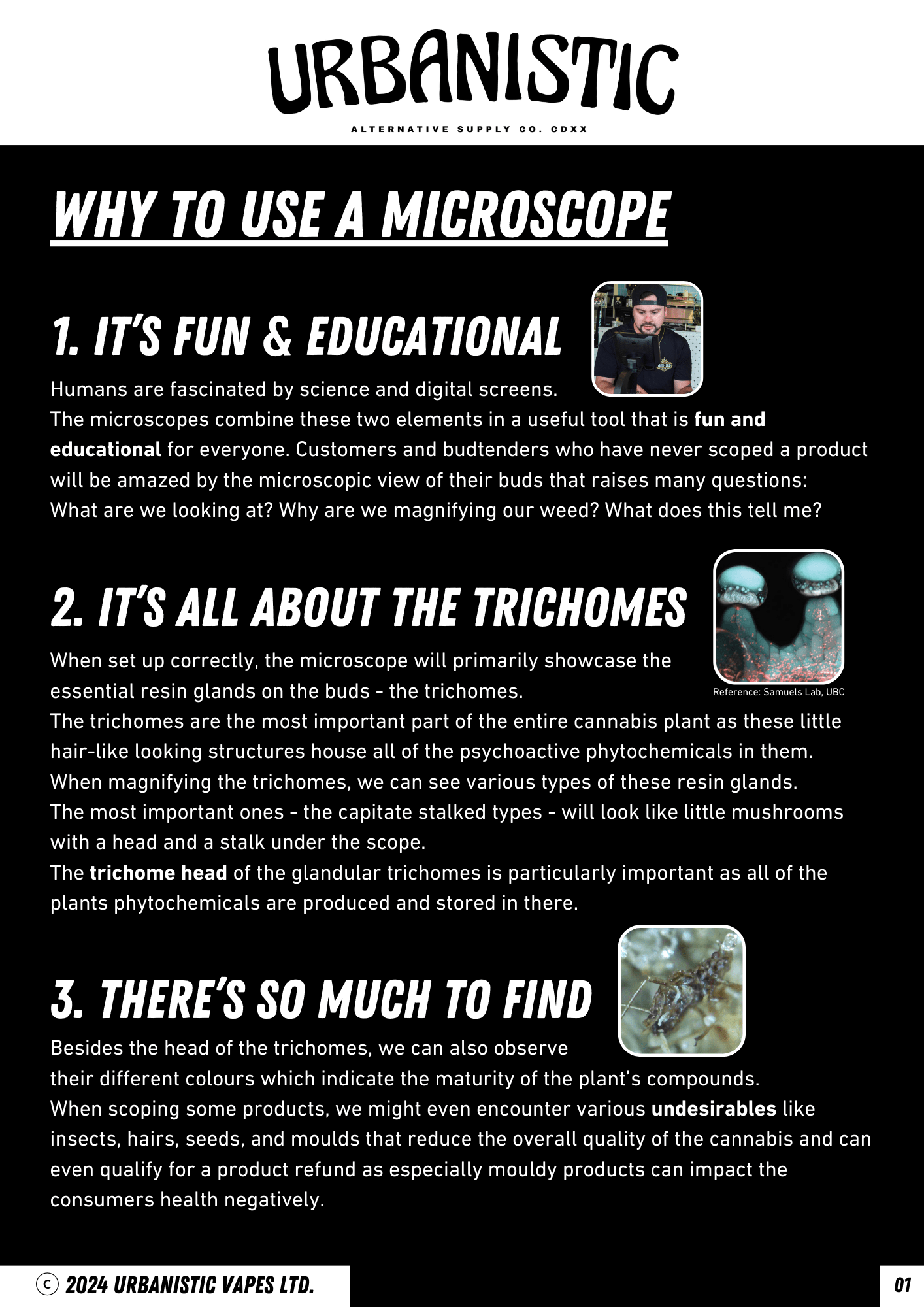 Digital Desktop 2000x Microscope - Urbanistic Canada