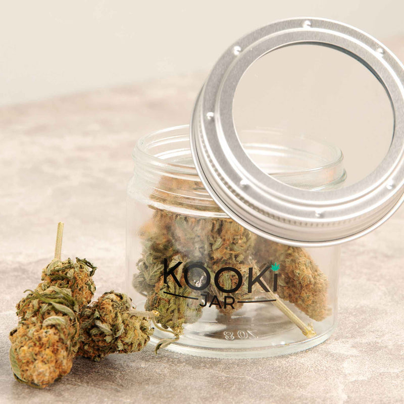 The Compact | Small Glass Stash Jar with 5x Magnifying Lid - Urbanistic Canada