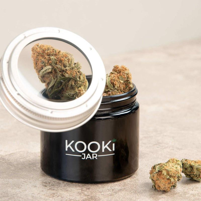 The Compact | Small Glass Stash Jar with 5x Magnifying Lid - Urbanistic Canada