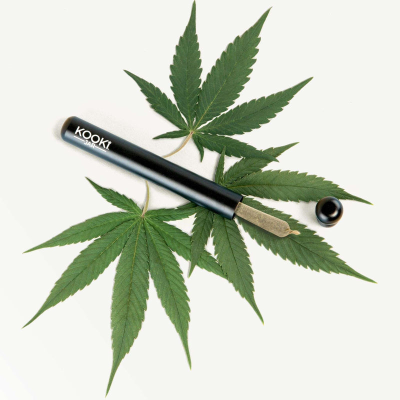 The Doob Tube | Odour-Sealing Pre-Roll Container - Urbanistic Canada